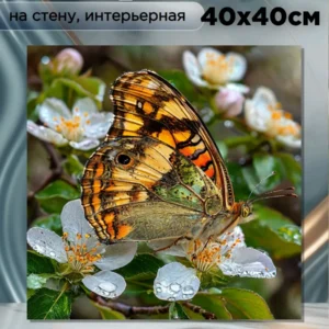 Картина интерьерная " Хрупкое совершенство " 40х40см